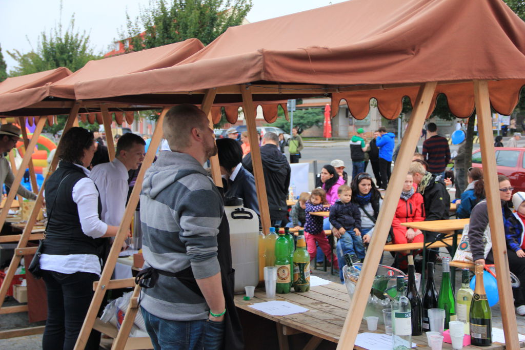Roztocké vinobraní 2014